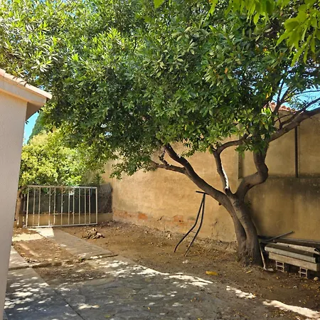 Yamna * Perpignan